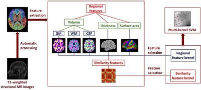 Examining Brain Morphometry Associated with Self-Esteem in Young Adults Using Multilevel-ROI-Features-Based Classification Method